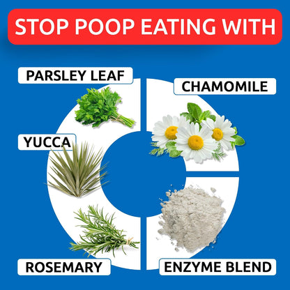 No Poo Chews for dogs showing probiotic benefits