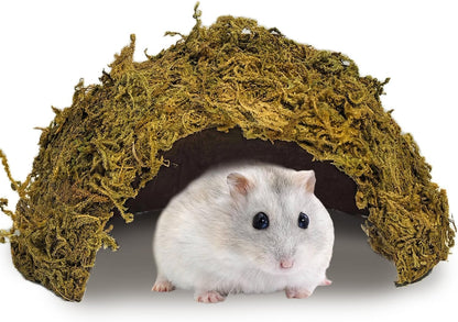 kathson 1Pcs Hamster Hideout, Moss Coconut Hut, Pet Hiding House, Hamster House for Mouse Mice Rat Guinea Pigs Reptiles - Image 1