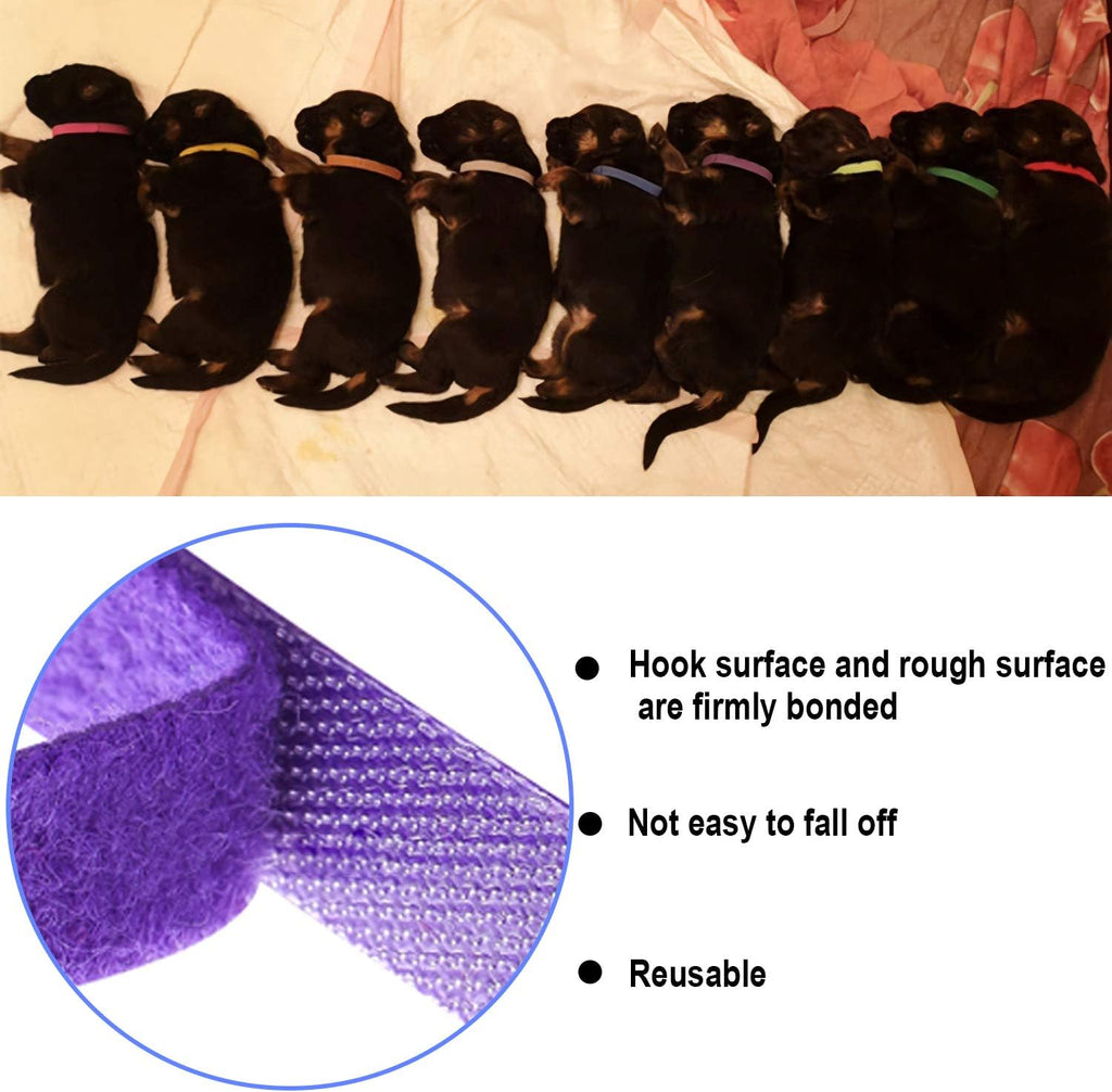 Adjustable hook and loop fastener detail on pet ID band