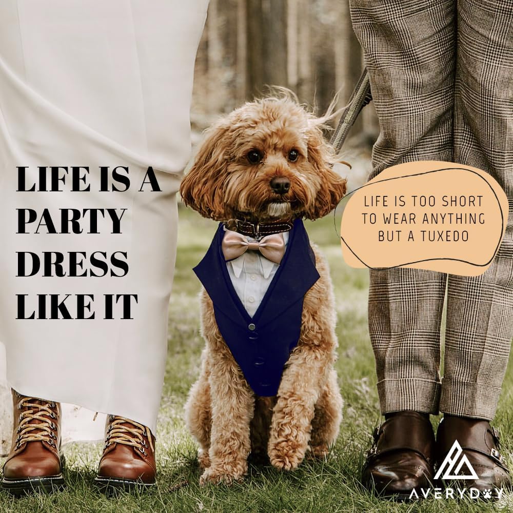 AVERYDAY dog wedding attire displaying the heavy duty metal attachment ring on the back