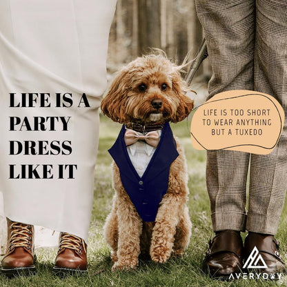 AVERYDAY dog wedding attire displaying the heavy duty metal attachment ring on the back