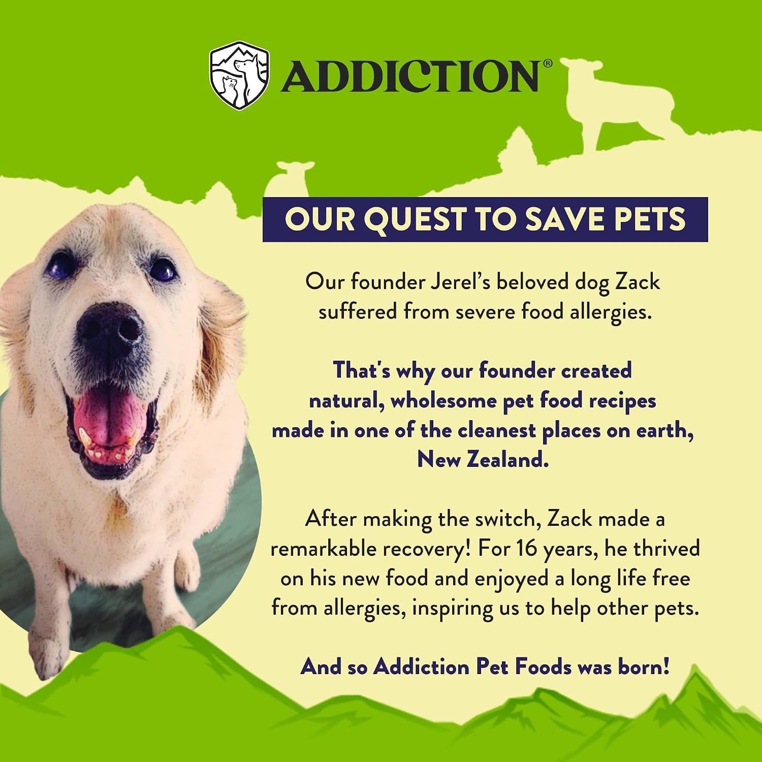 Addiction brand New Zealand grass fed lamb formula air dried dog food texture detail.