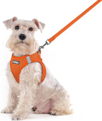 rabbitgoo Dog Harness Small Sized and Leash Set, Step in Soft Light Puppy Vest, Breathable Mesh Pet Harness, Reflective for Safe Easy Walking, Rose Red S - Image 10