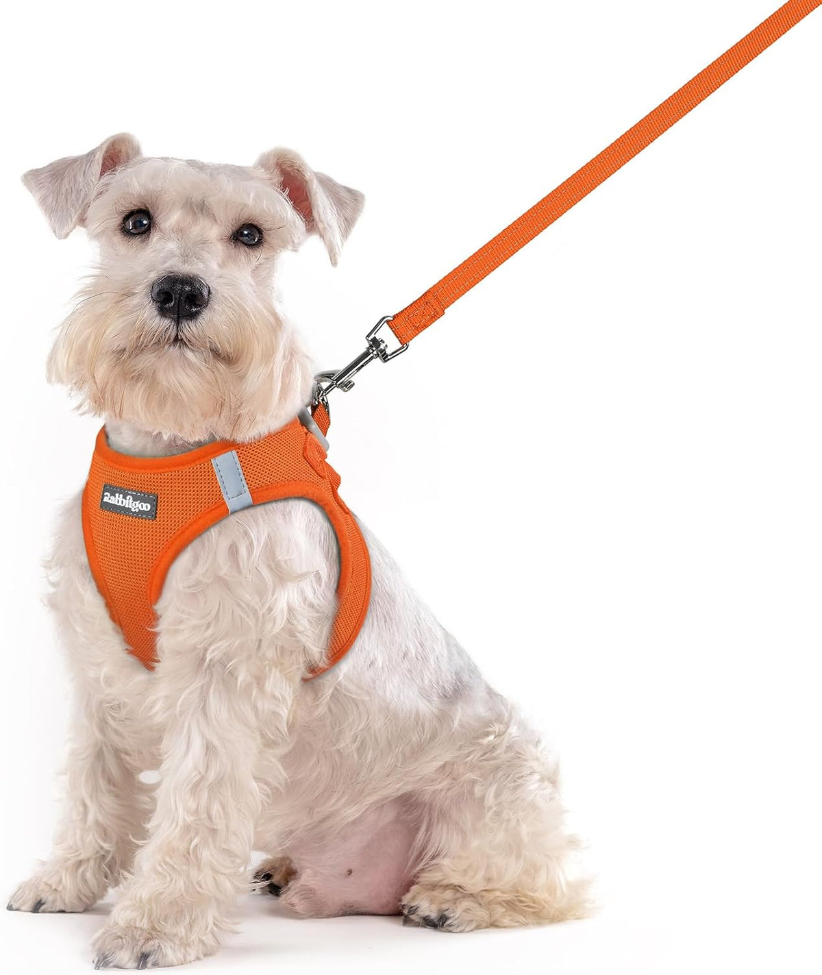 rabbitgoo Dog Harness Small Sized and Leash Set, Step in Soft Light Puppy Vest, Breathable Mesh Pet Harness, Reflective for Safe Easy Walking, Rose Red S - Image 10