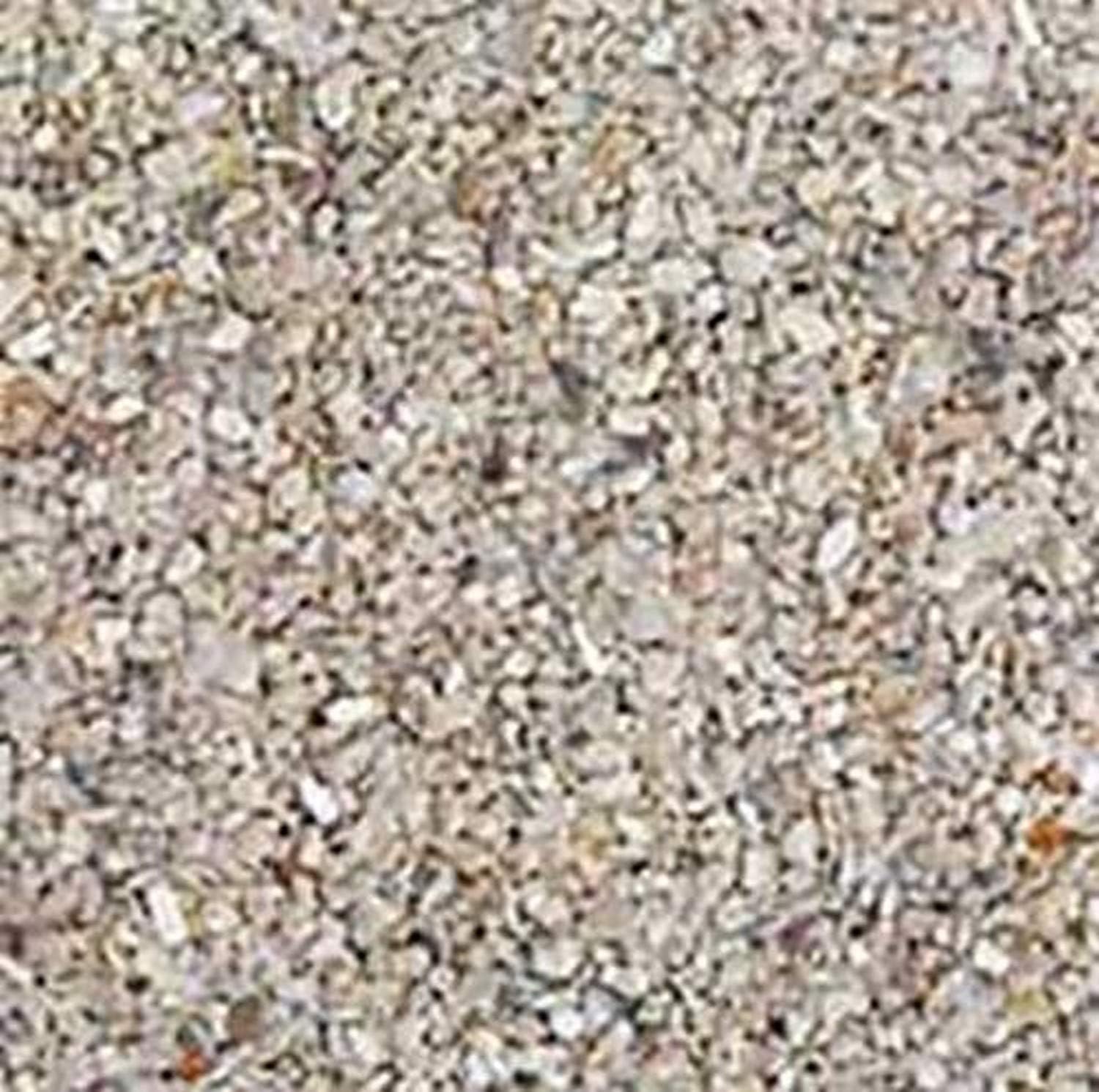 Carib Sea Aragonite Reef Sand 40 Pound bag front view