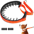 Mayerzon heavy duty nylon dog walking collar with sturdy metal D ring