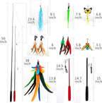Fully extended fifty inch telescopic cat teaser wand demonstrating maximum room coverage for active pet play.