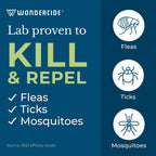 Wondercide natural essential oil flea and tick repellent misted on living room carpets.
