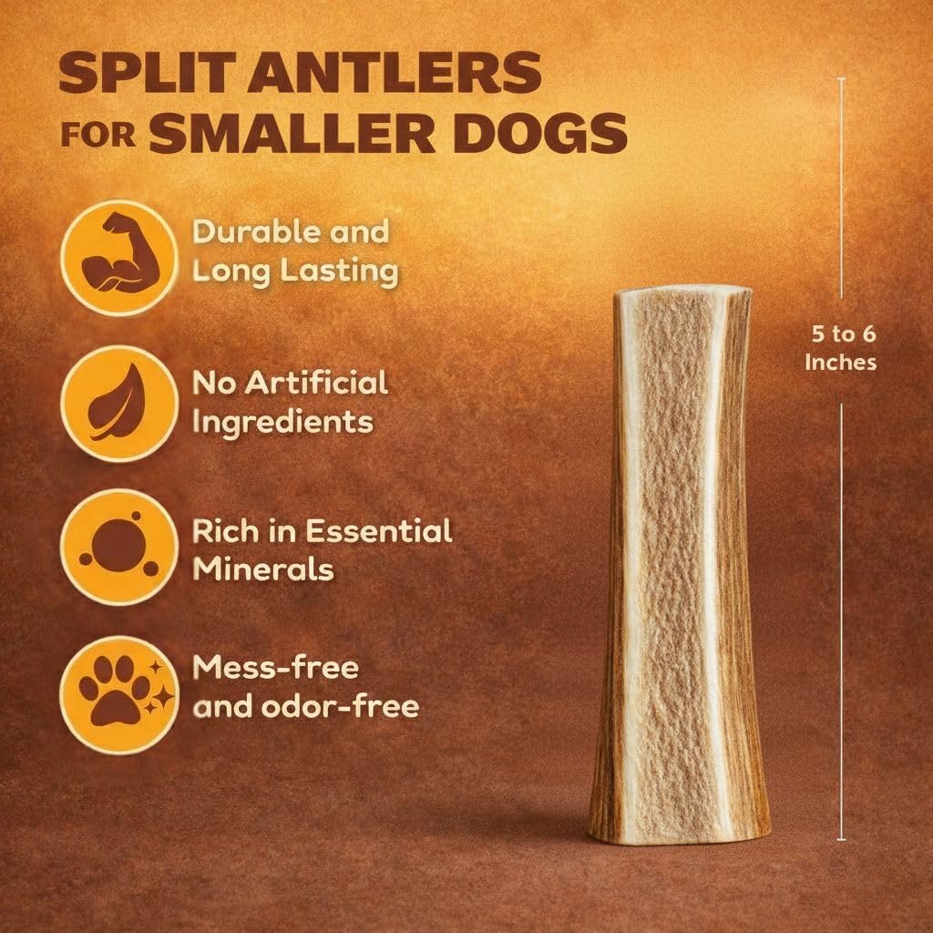 Three small to medium split elk antler chews for dogs