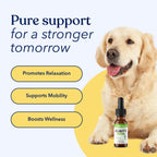 Honest Paws Hemp Oil for Dogs - Natural Hemp Seed Oil Calming Purity Drops for Dogs - Rich in Omega 3 6 9 to Promote Healthy Bones, Joint Support, Relaxation, Managing Normal Stress - Made in The USA - Image 9