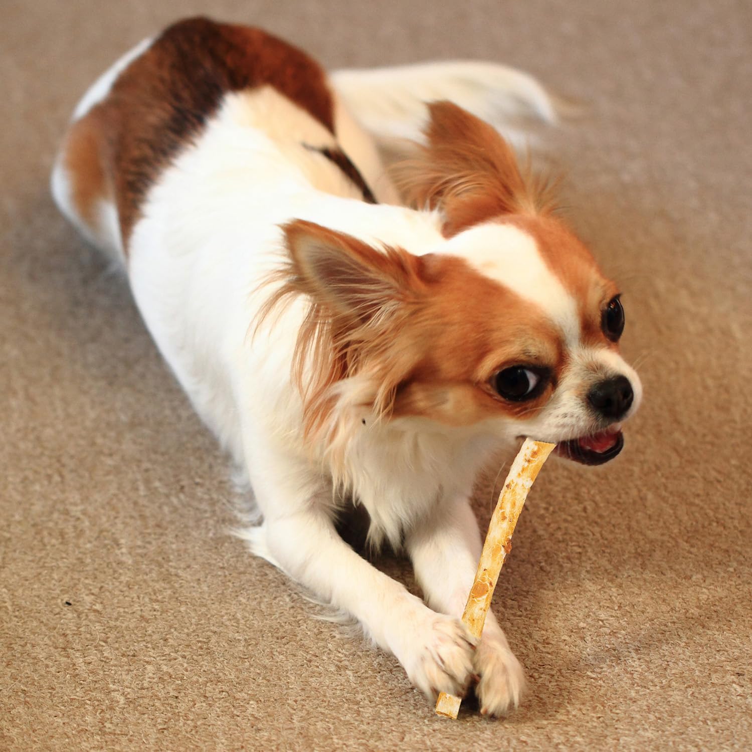 Fieldcrest Farms Nothin' to Hide Twist Stix, Beef Flavor, Easily Digestible, Supports Skin, Coat, Joints & Muscles, for Moderate Chewers Under 15lbs, 50 Pieces - Image 12