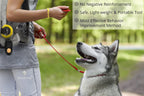 SunGrow imported animal behavior support clicker with metallic keychain ring.