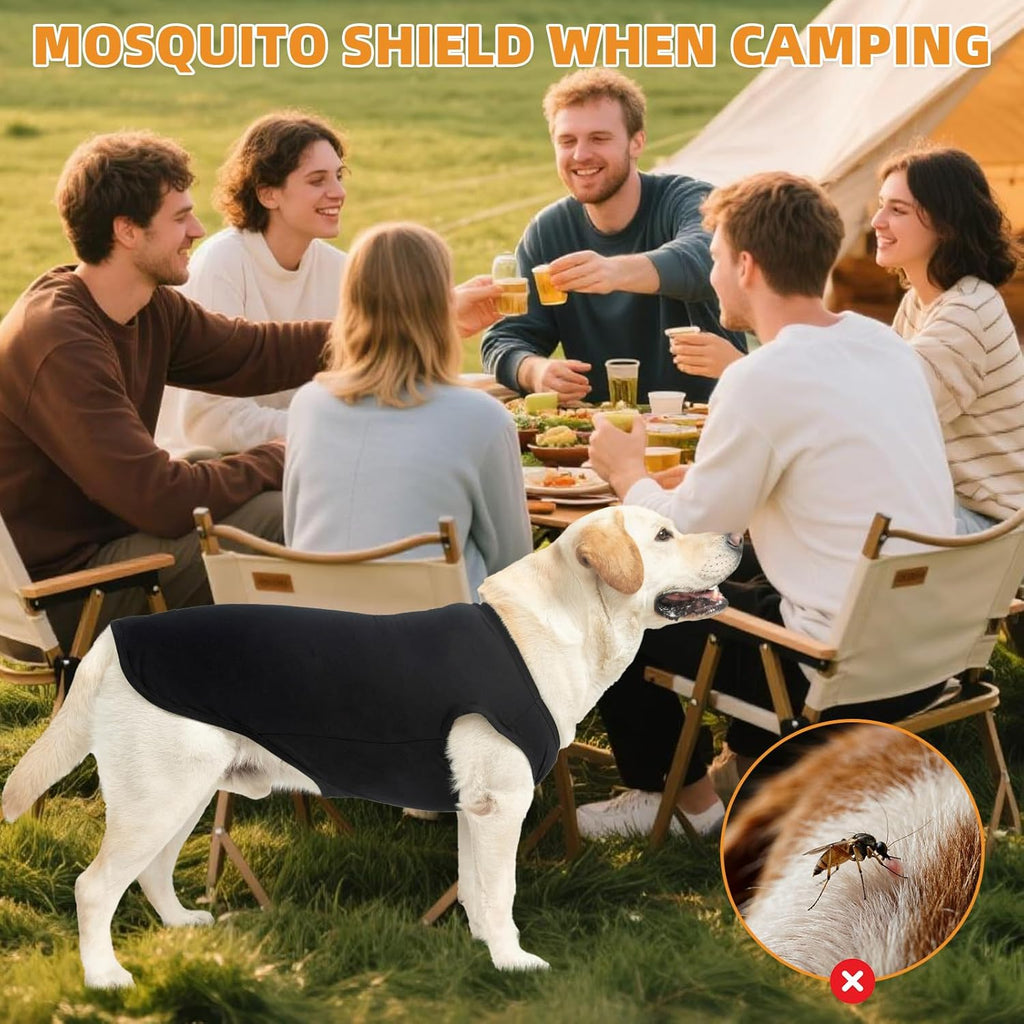 Dog vest for outdoor camping and UV protection