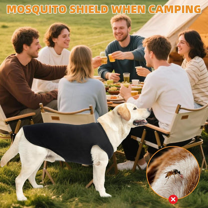 Dog vest for outdoor camping and UV protection