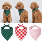 Aniarcanum large dog clothes accessory styled for a puppy birthday celebration.