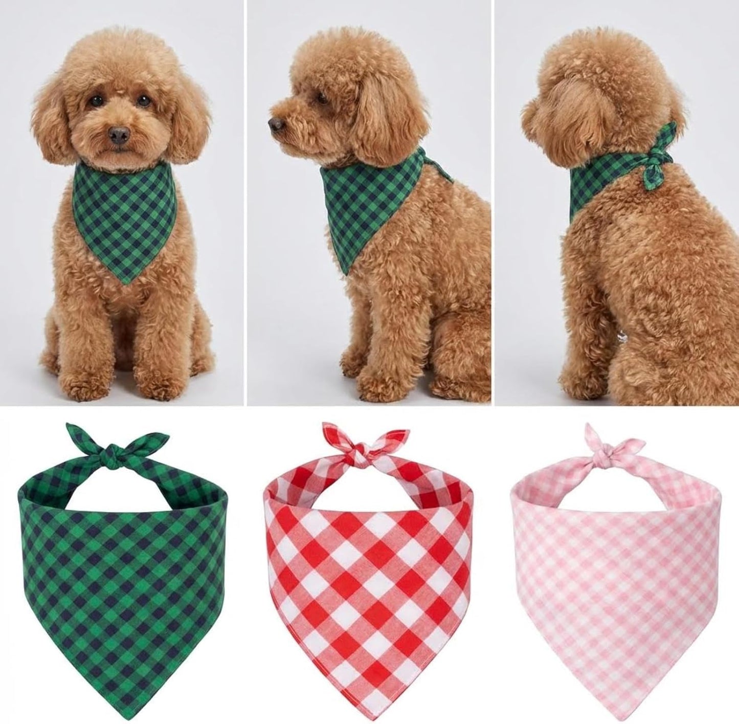 Aniarcanum large dog clothes accessory styled for a puppy birthday celebration.