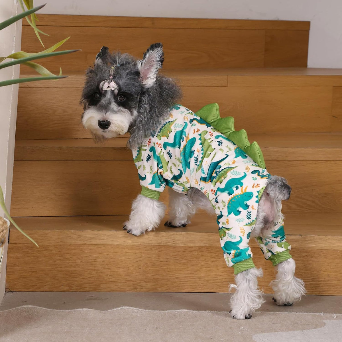 Secure fit pet pajamas protecting small dog fur from dirt and irritation