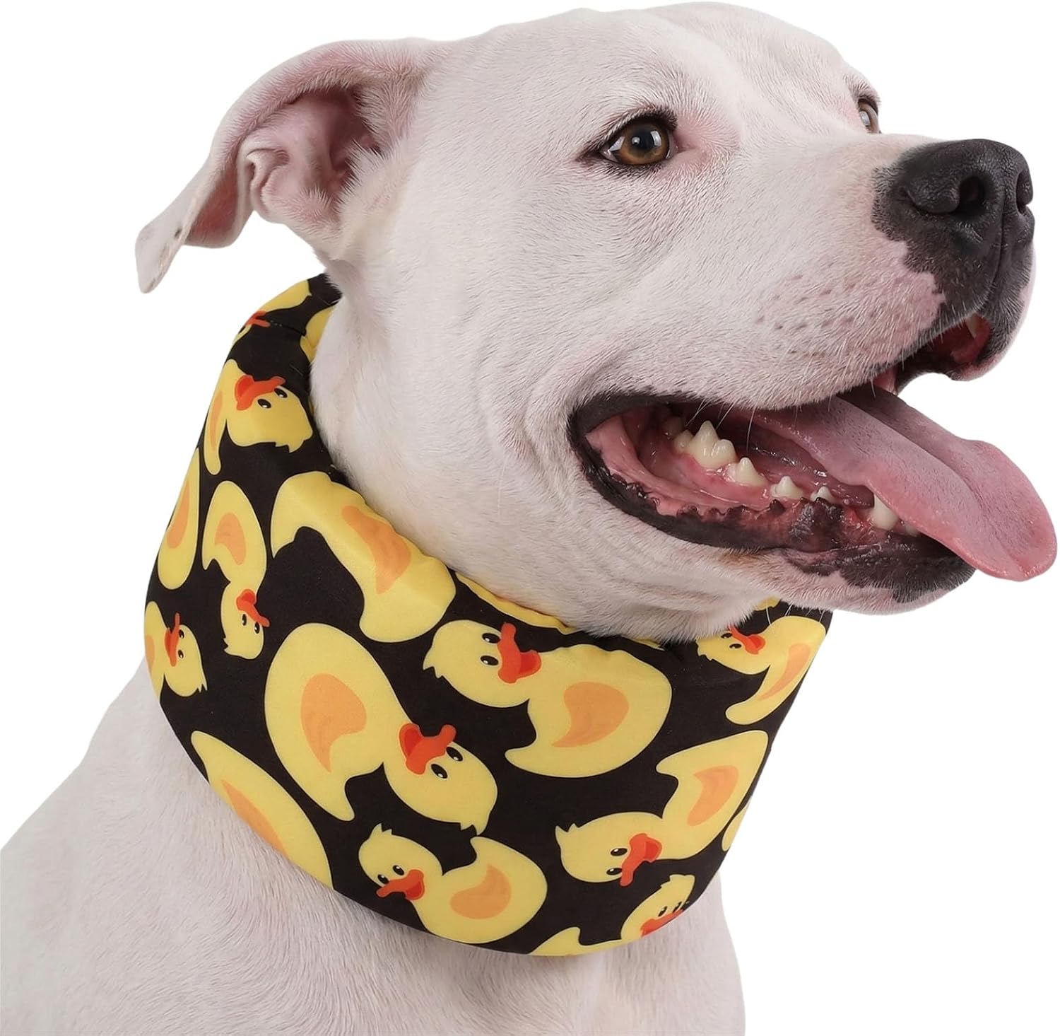 LovinPet Dog Recovery Collar, Adjustable Soft Cone for Medium & Large Dogs, Post-Surgery Comfort & Lick Prevention, Jurassic Dinosaur Print,Yellow - Image 13