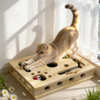 Livanira XL cat nail file enrichment box front view for natural claw grooming