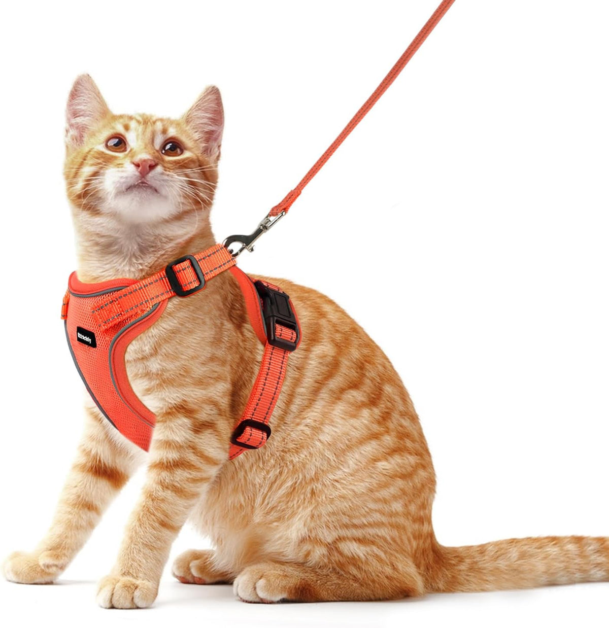 Cat Harness and Leash Set, Escape Proof Cat Harness with Reflective Strips, Breathable Mesh Vest, Adjustable Walking Harness for Indoor Outdoor Cats, Kittens, Small Medium Large Cats (Green, M) - Image 9