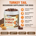TailSphere dog mushroom supplement container highlighting seven mushroom blend and probiotics