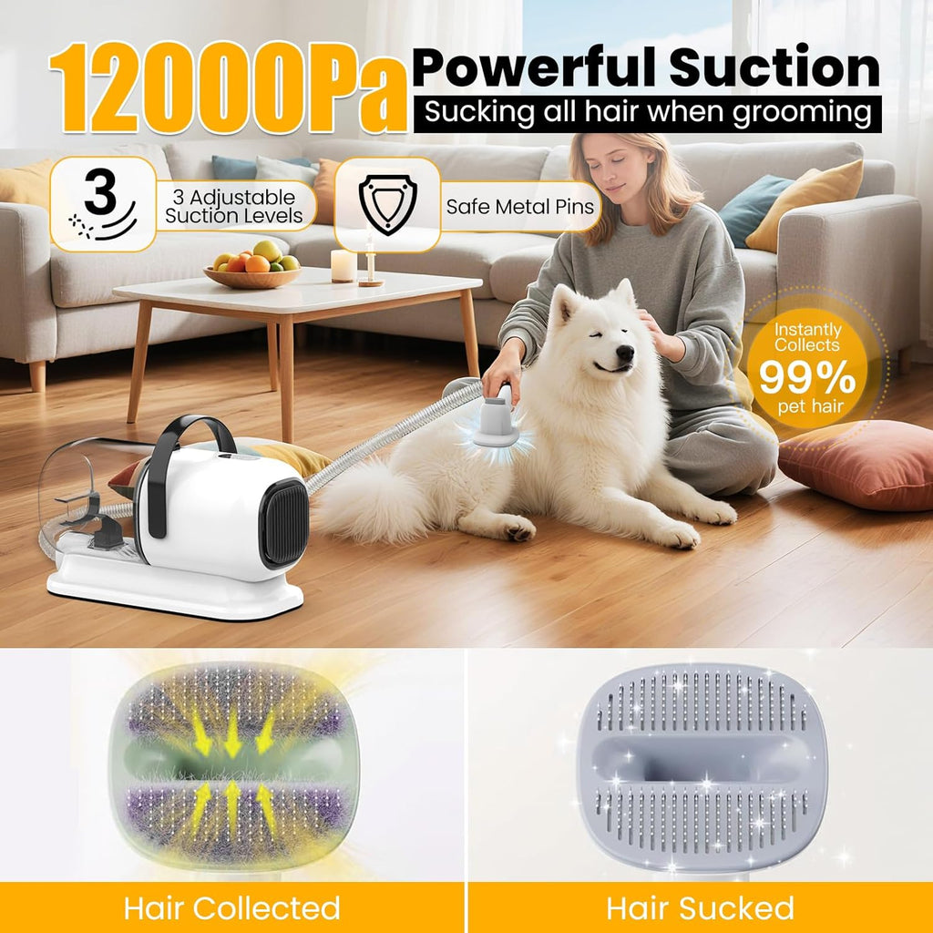 FIXR dog clippers and grooming attachments laid out neatly for display