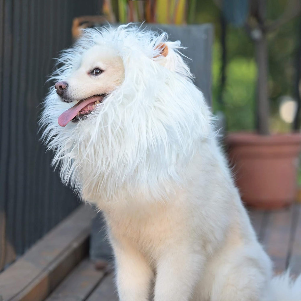 Eco friendly non irritable plush fabric texture of the pet wig