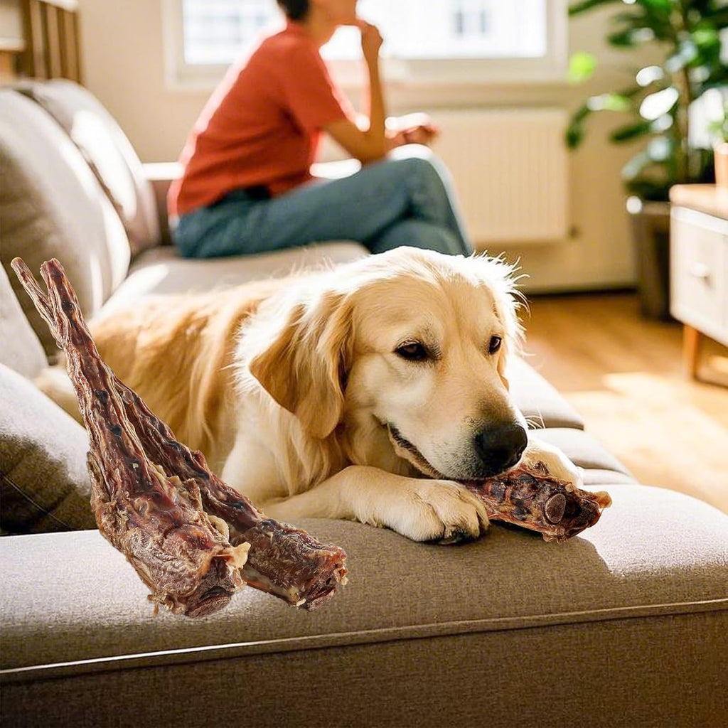 Two pieces of natural grass fed beef tail bone chew for healthy teeth.