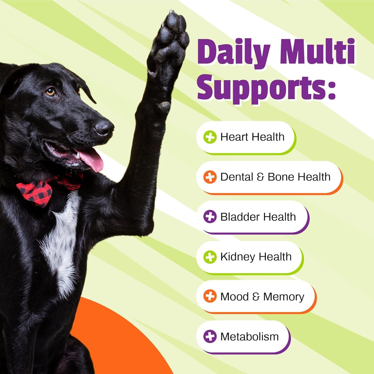 Pet Naturals Daily Multi supplement label nutritional facts