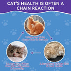 Weallin natural oral flea treatment supplement for cat skin and coat support