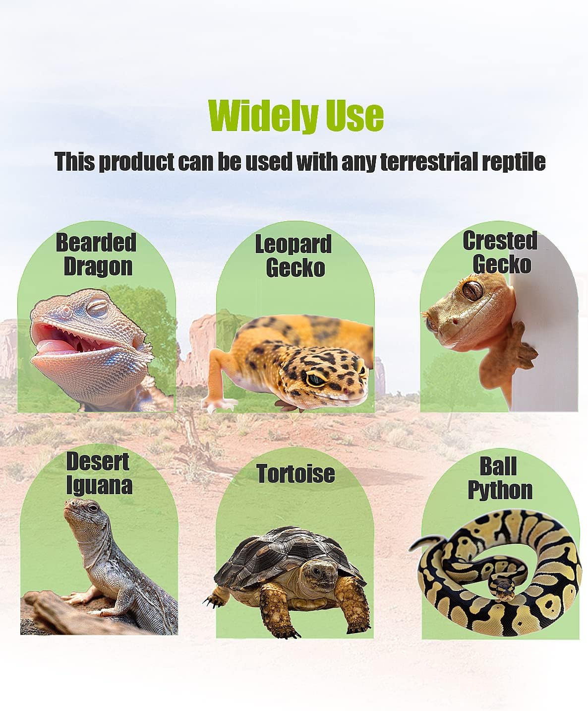 Easy to clean washable reptile enclosure liner being wiped with a damp cloth