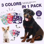 Three pack of Pet Soft reusable female doggy diapers in different floral colors.