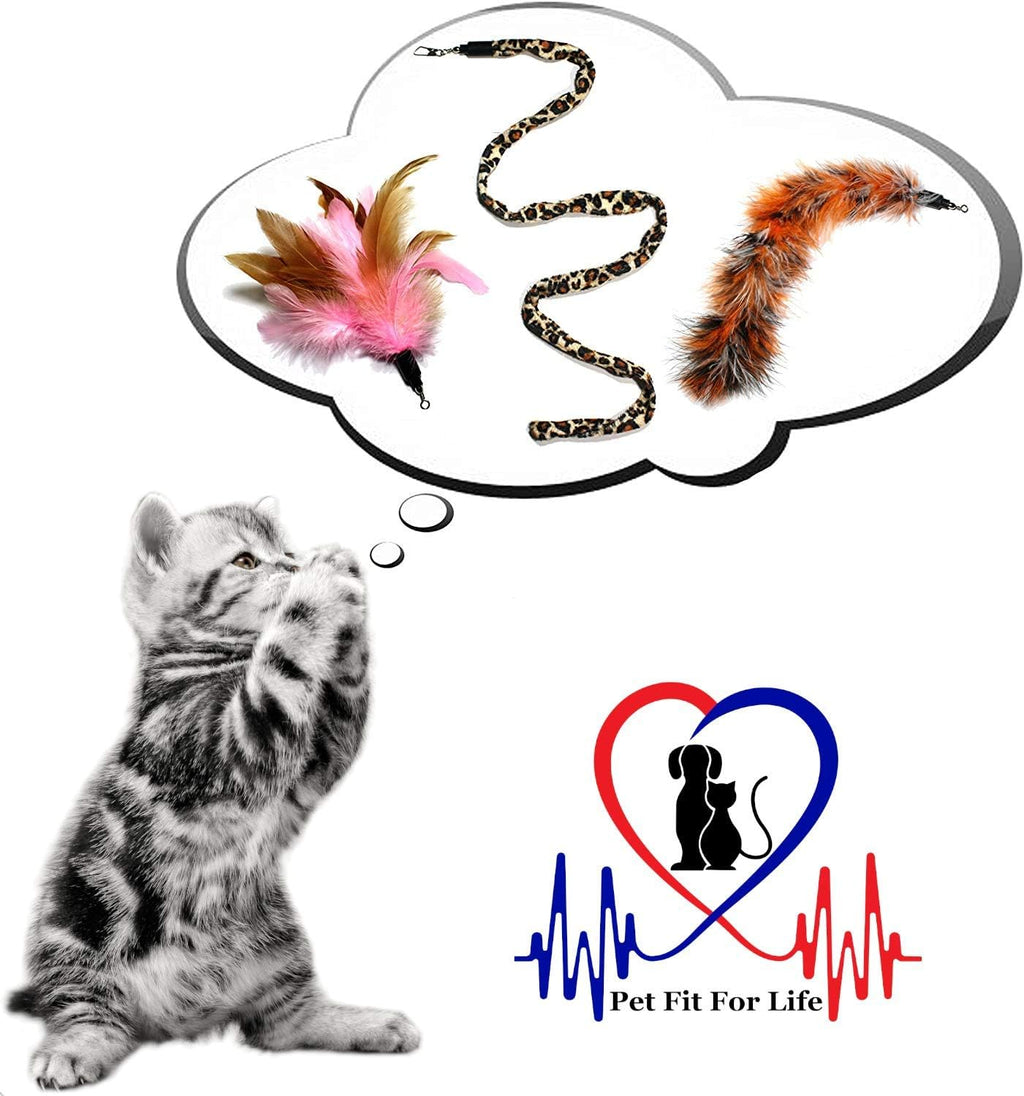 Packaging view of the authentic Pet Fit For Life imported dual rod feather teaser toy for premium pet care.