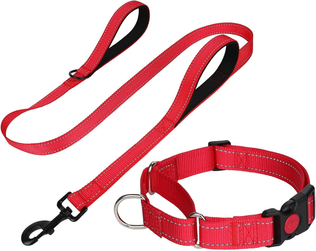 FunTags Reflective Hotpink Martingale Collar (16"-20") & Leash (5ft x 1") for Medium Dog, Escape-Proof with 2 Handles, Safe Night Walks, Durable Nylon, Quick-Release Buckle - Image 12