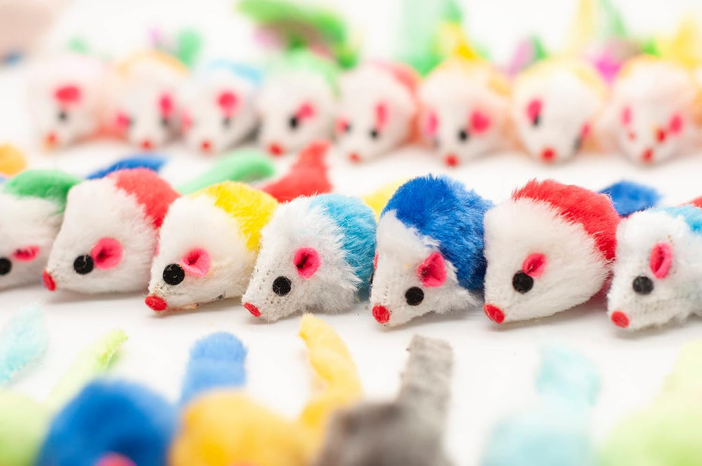 Multi color interactive kitten toys designed to stimulate hunting instincts.