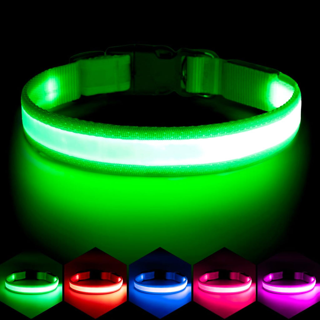 Vizpet LED dog collar medium green front view