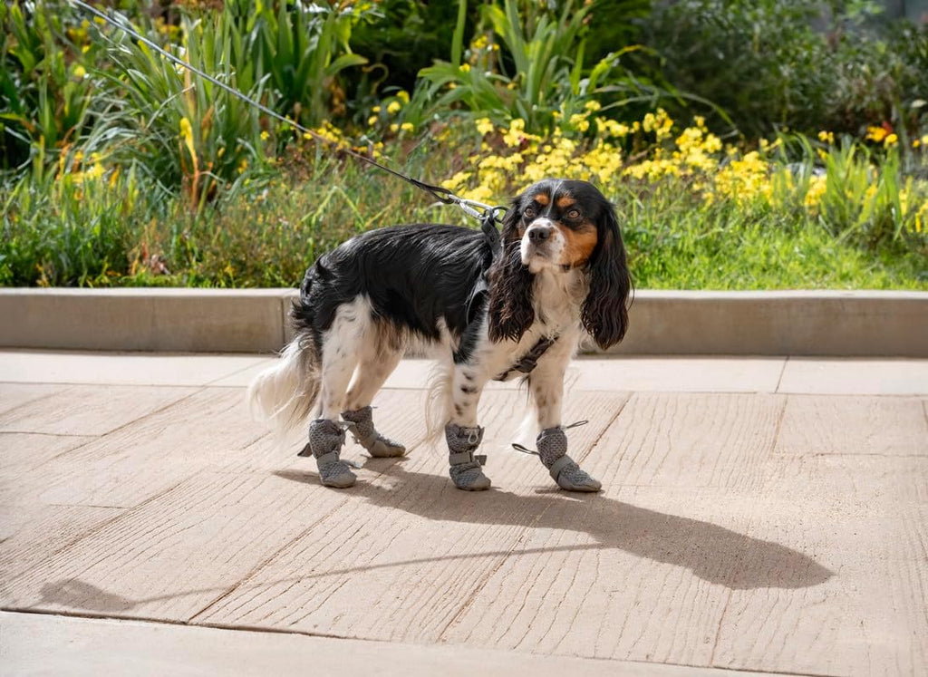 Canada Pooch grey dog boots with anti slip rubber sole