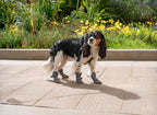 Canada Pooch grey dog boots with anti slip rubber sole
