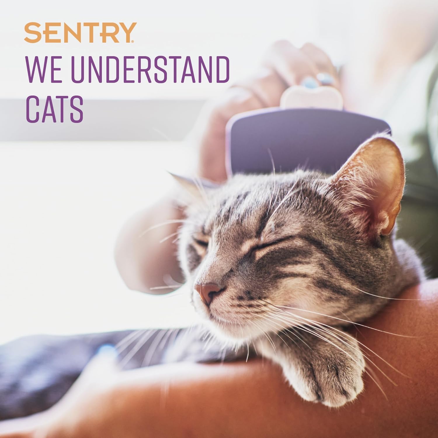 Sentry cat calming aid back label with directions and ingredients