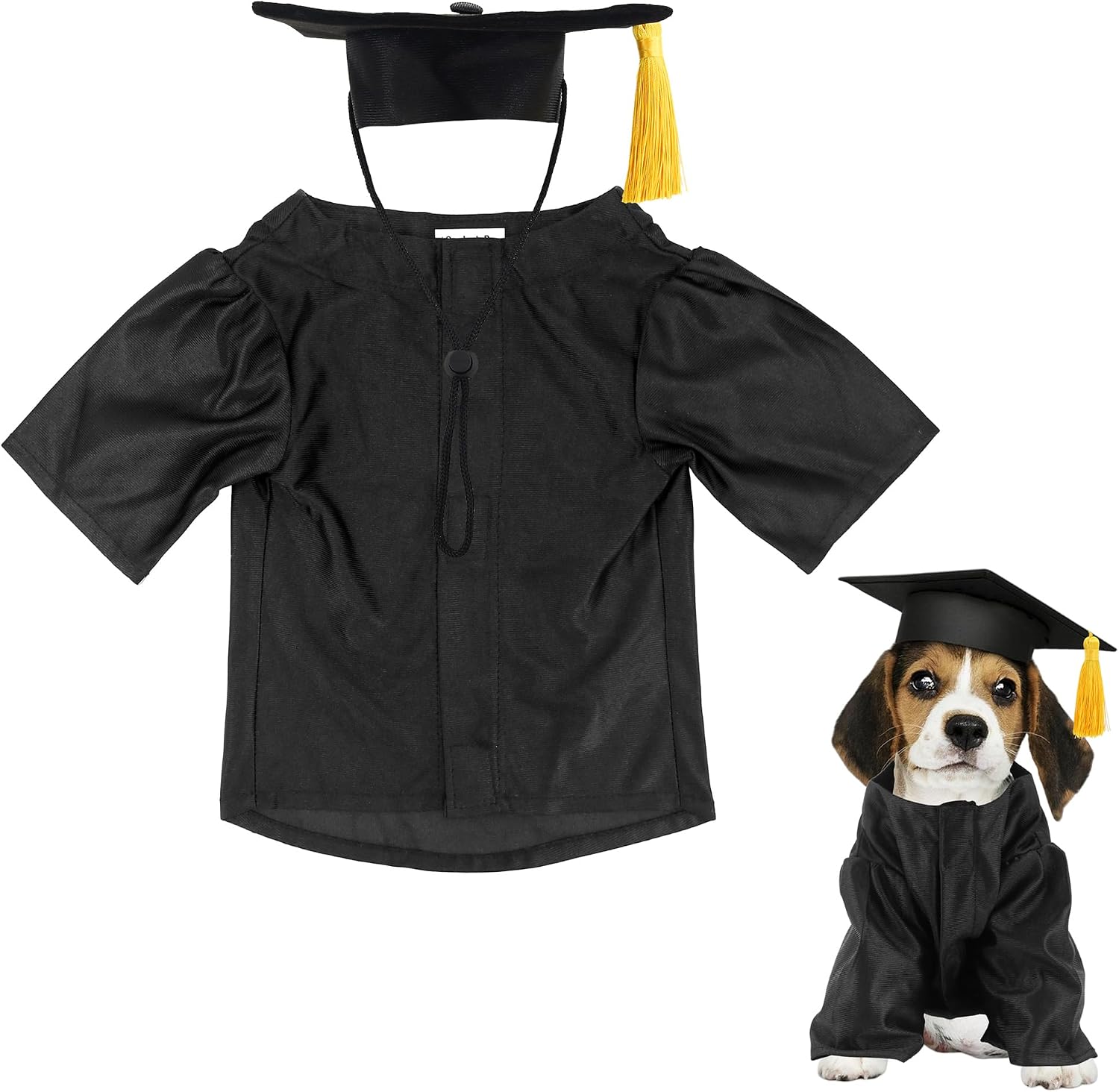 GraduatePro dog graduation cap and gown costume set front view on a dog