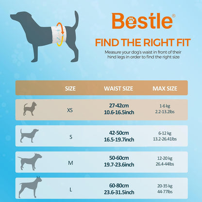 Bestle male dog belly band diaper spread open illustrating the super absorbent polymer core and soft non woven fabric.