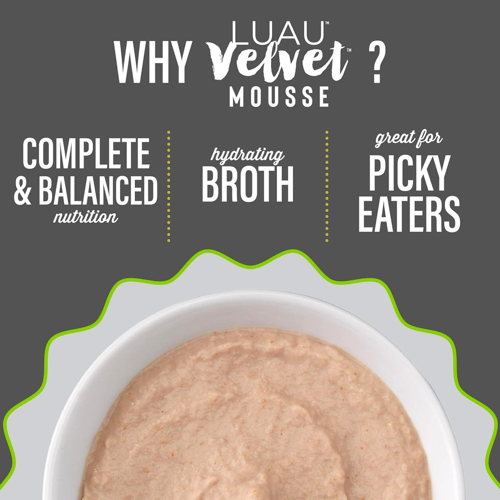 Cat enjoying grain free protein blend mousse from a feeding bowl