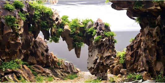 AWERT viewing stone fish tank background front view showing natural river bed design