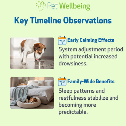 Pet Wellbeing melatonin liquid dosage and ingredients label