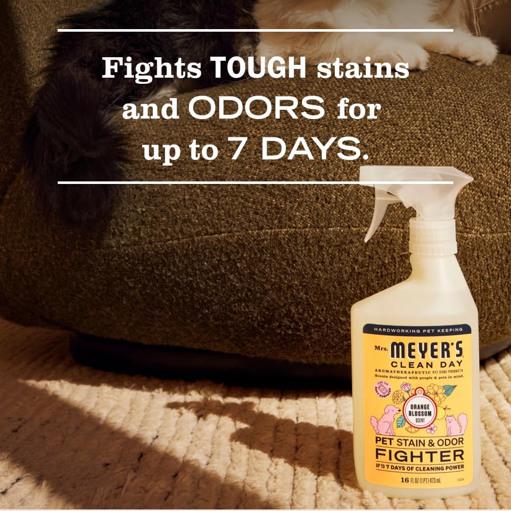 Mrs. Meyer's Pet Stain and Odor Fighter being used on a living room rug