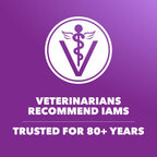 Prebiotic and probiotic benefits chart for canine gut health