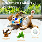 Zeepet automatic electronic kitten toy with natural feathers and hanging rope attachment.