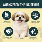 Natural herbal anti inflammatory supplement drops for dog paw scratching
