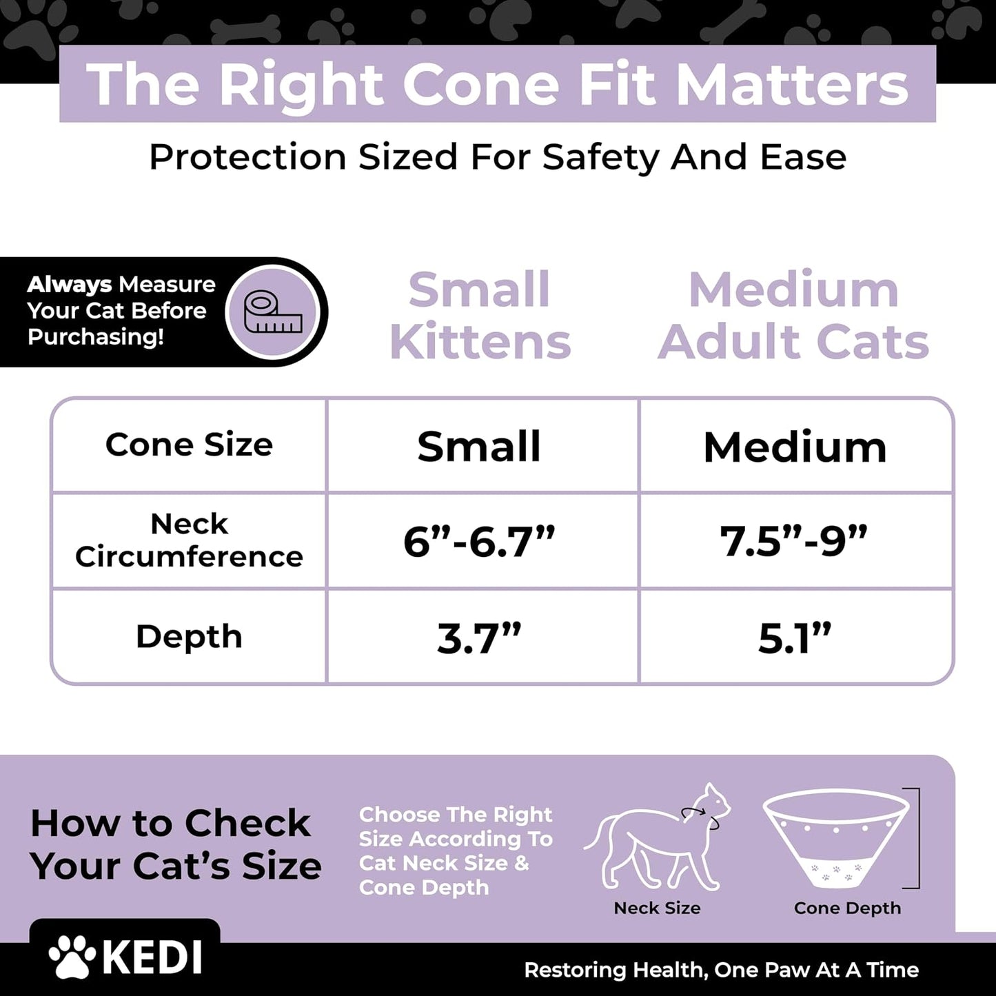 Cat wearing comfortable post surgical recovery suit and cone