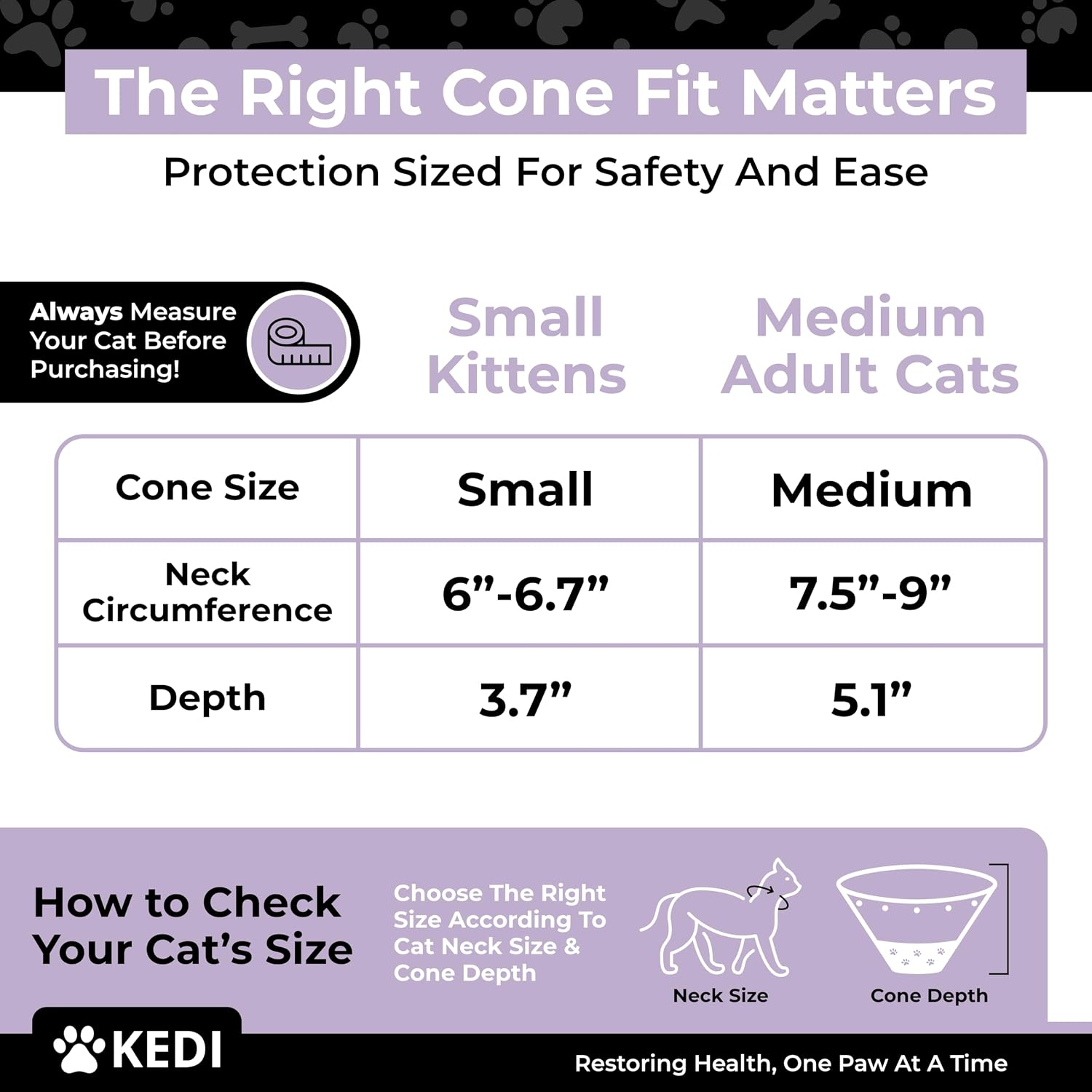 Cat wearing comfortable post surgical recovery suit and cone